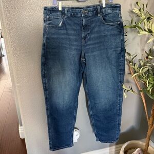 American Eagle Curvy Mom Jean